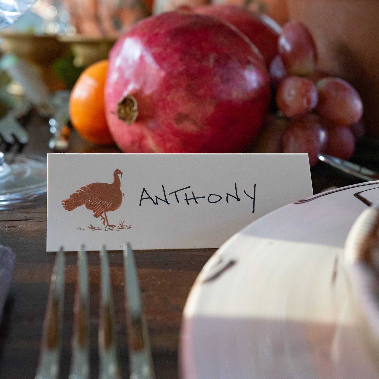 The Printery - Set of 10 Turkey Place Cards