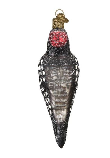 Hairy Woodpecker Ornament
